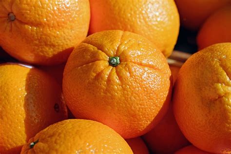 orange stock photo|40,000+ Free Oranges & Nature Images .